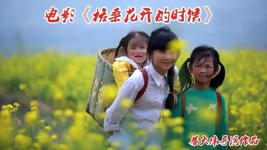 格桑花开的时候