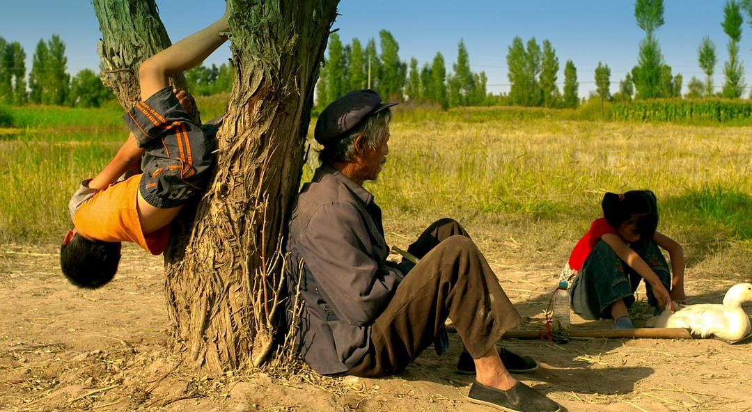 告诉他们，我乘白鹤去了