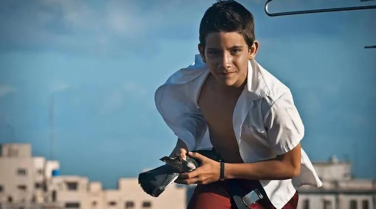 飞不起来的童年