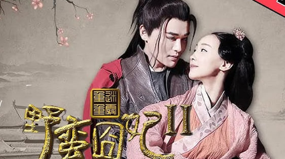 野蛮囧妃2：迷雾重重