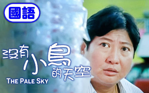 没有小鸟的天空