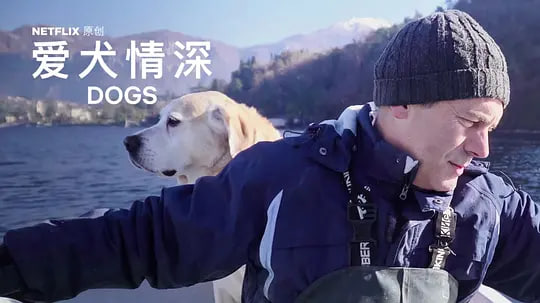 爱犬情深 第一季