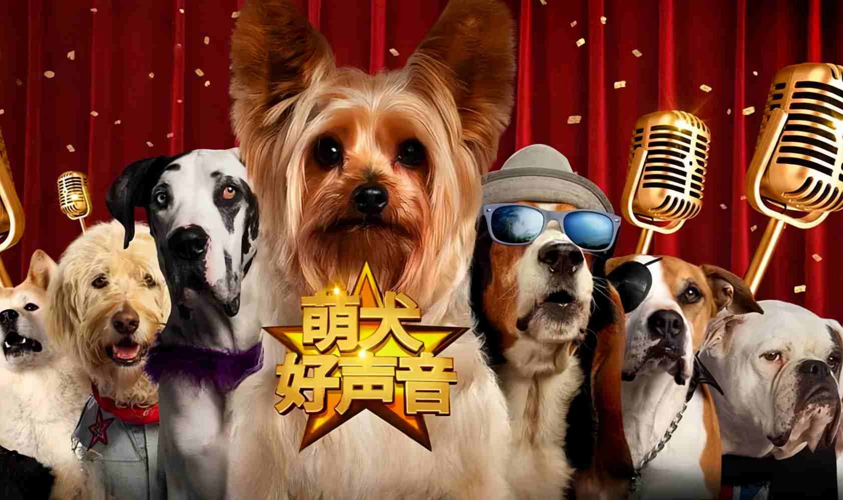 萌犬好声音