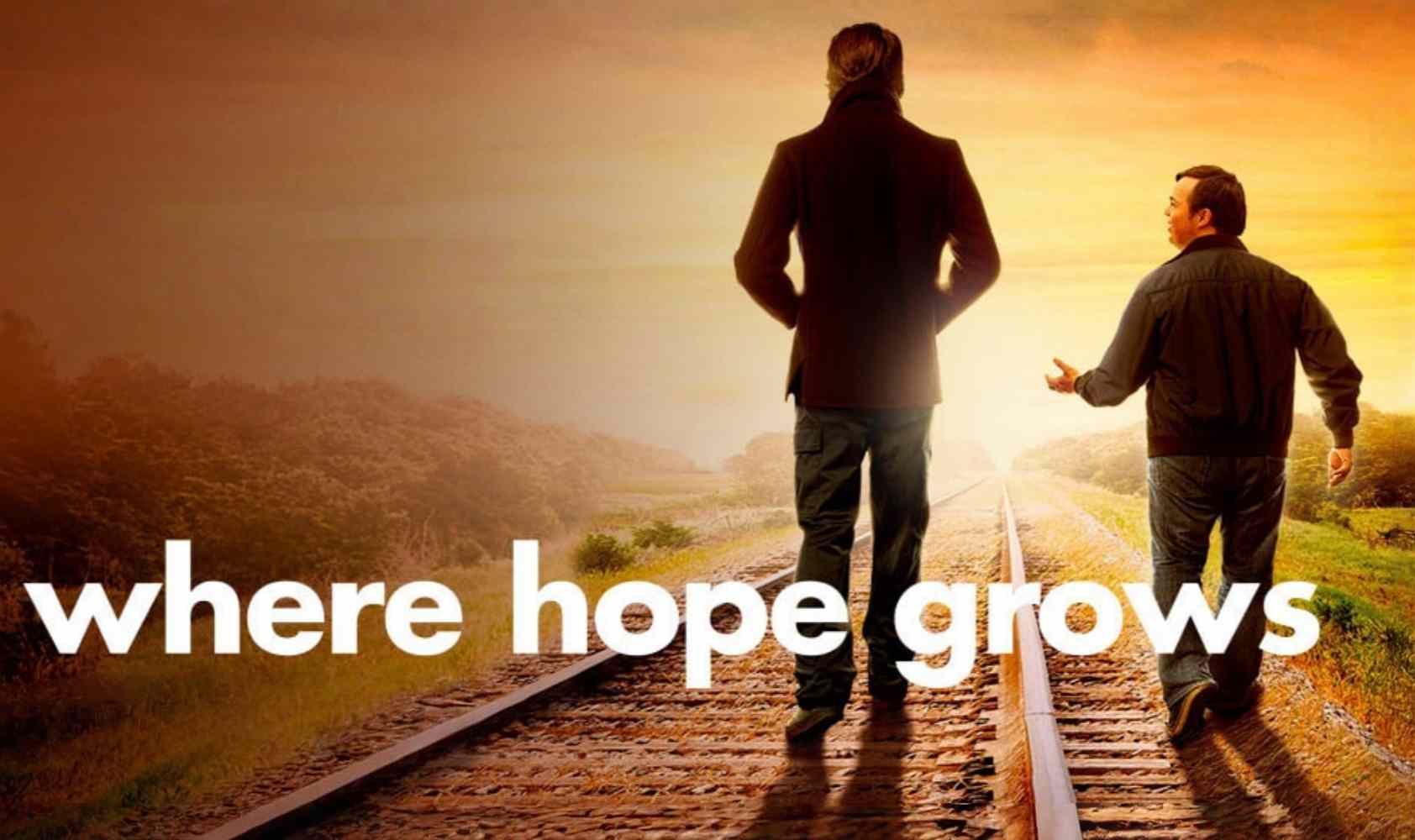 希望生长的地方