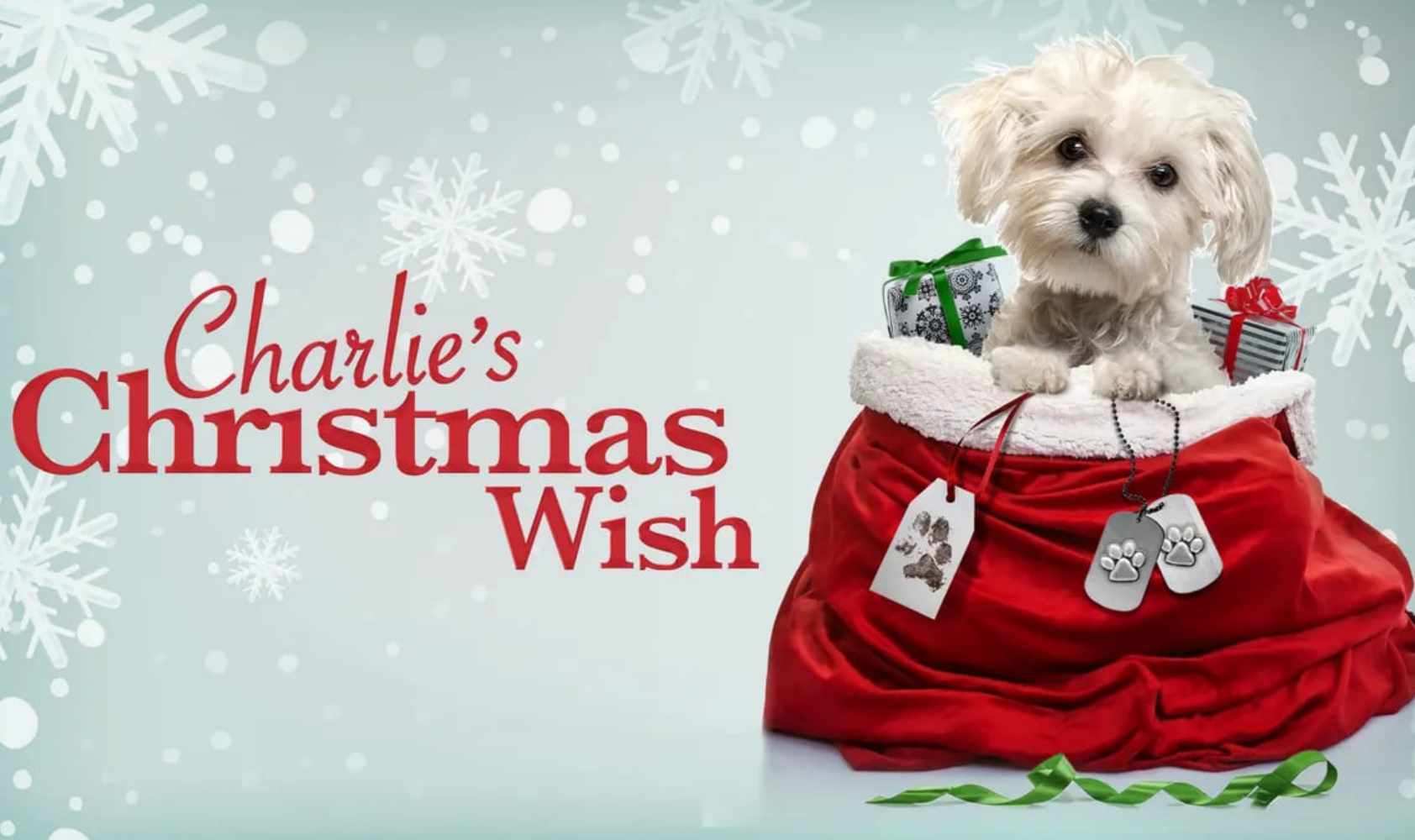 查理的圣诞愿望