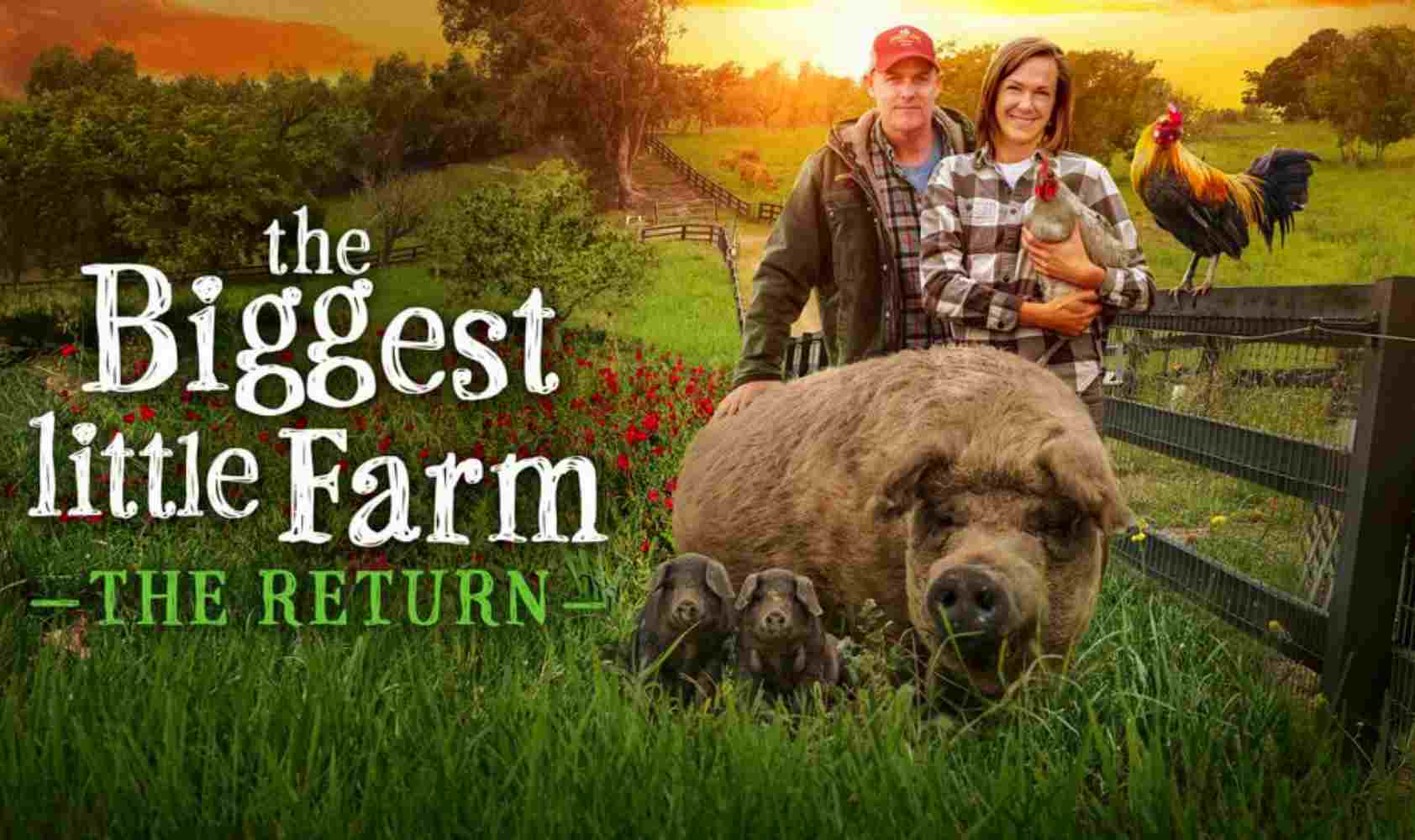 最大的小小农场：回归