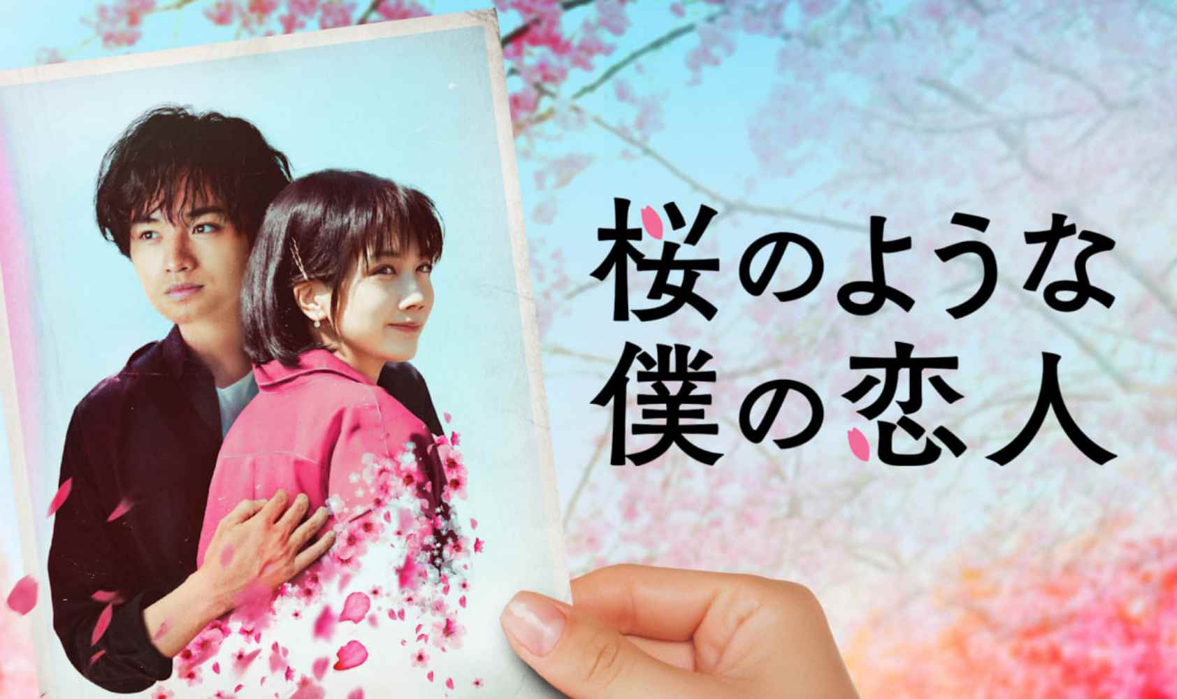 我的樱花恋人