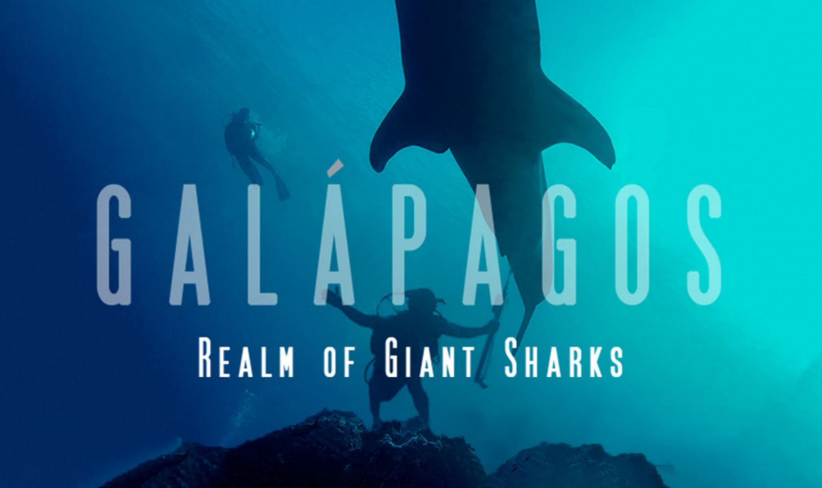 加拉帕戈斯群岛：巨大鲨鱼王国