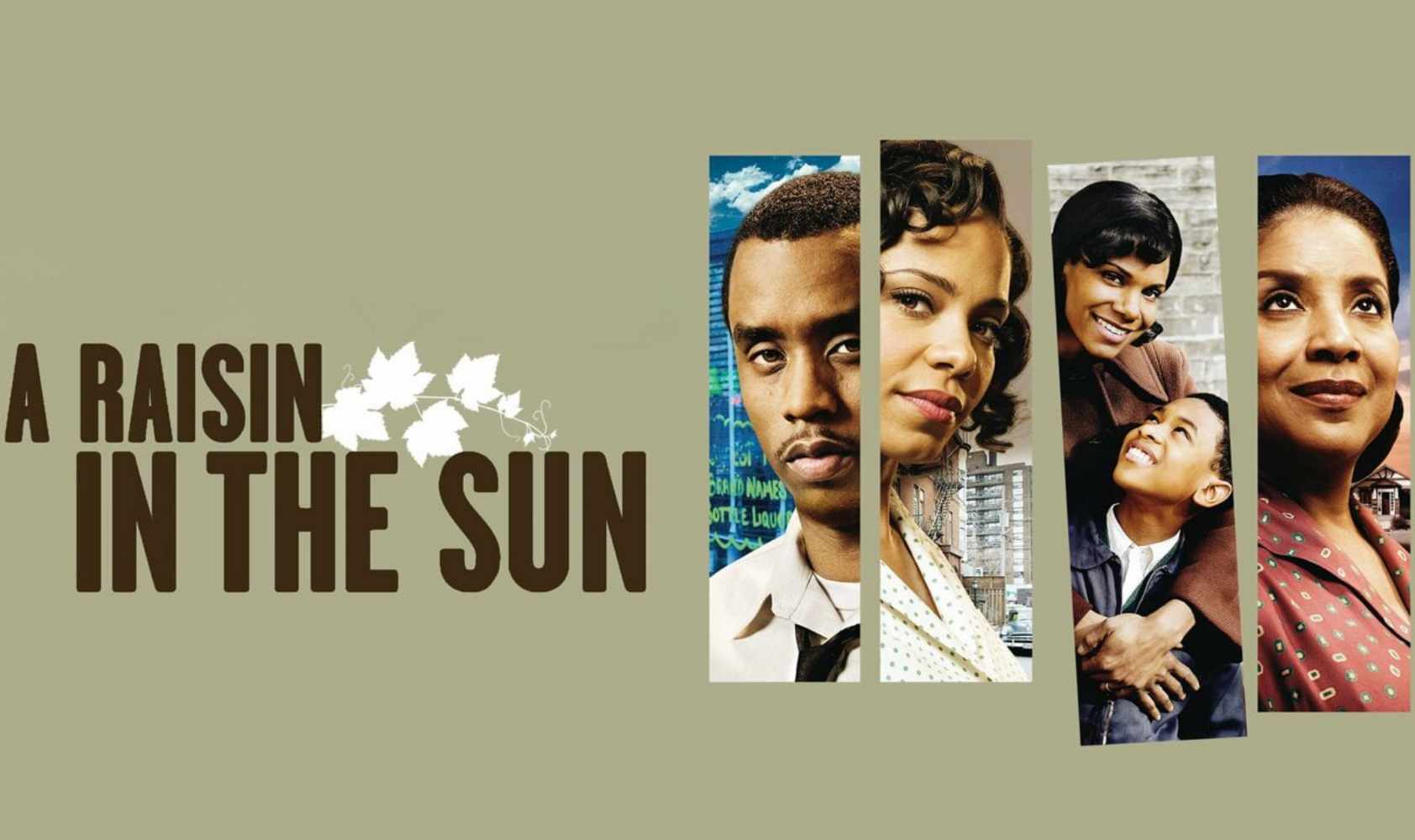 日光下的葡萄干