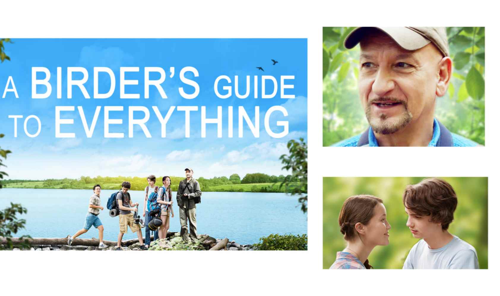 观鸟者指导大全