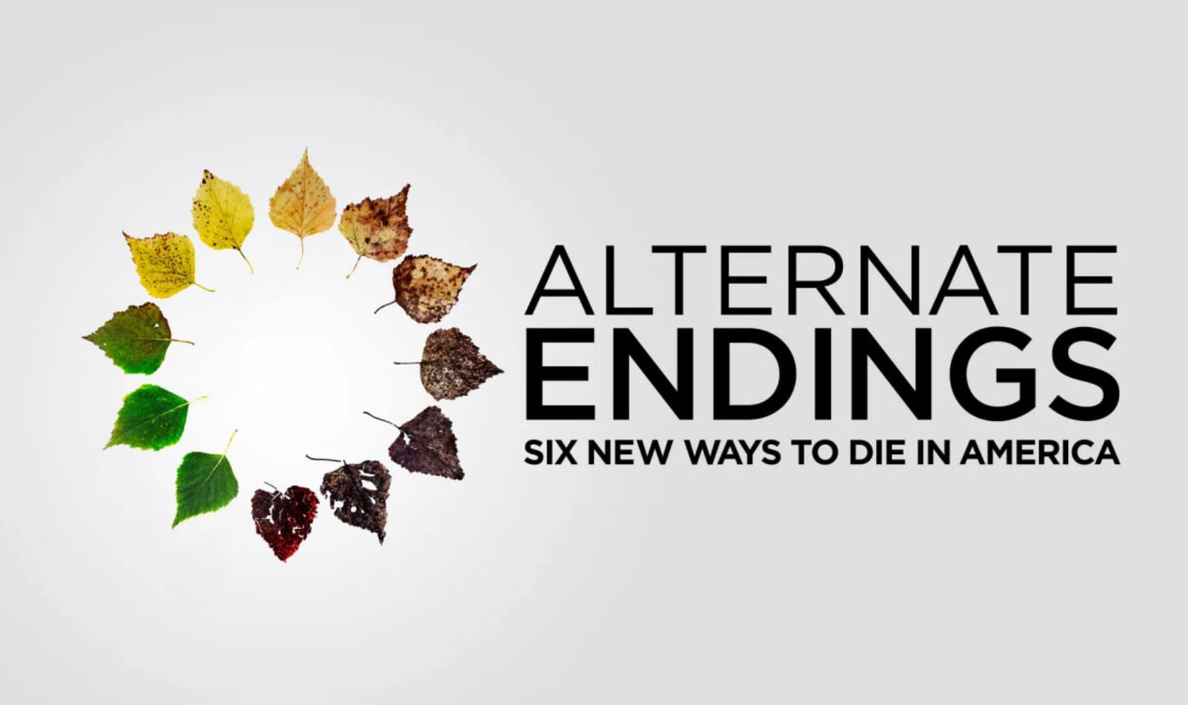 《美国六种新死法》另类结局