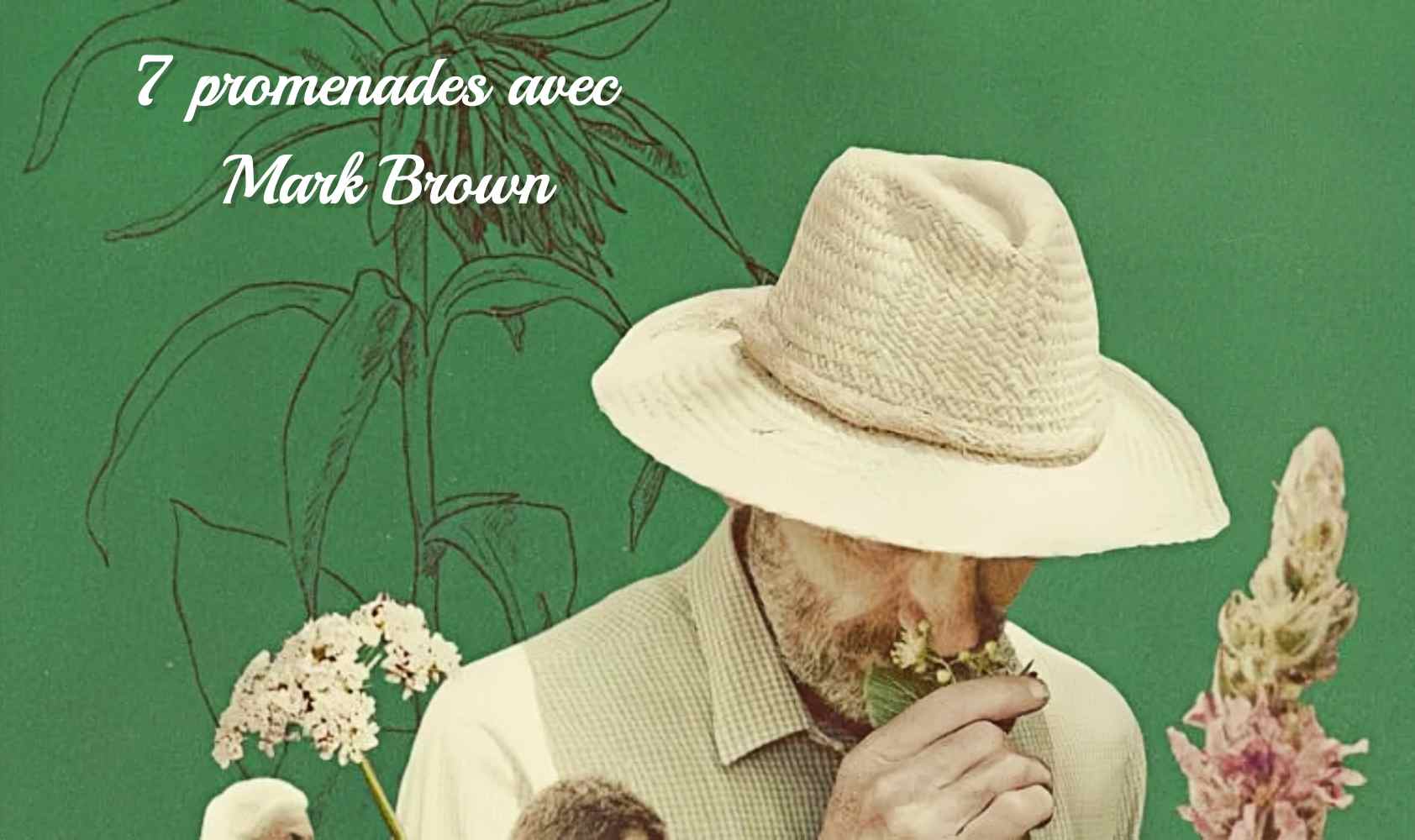 与马克·布朗的七次散步