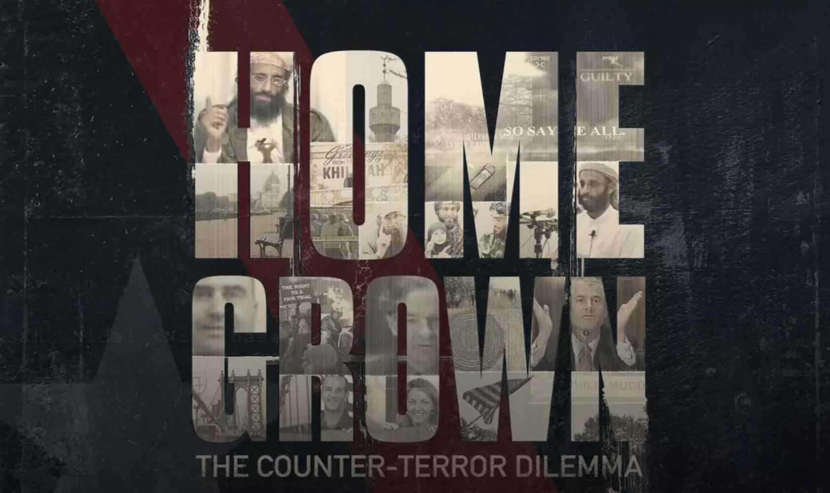 美国本土的反恐困境