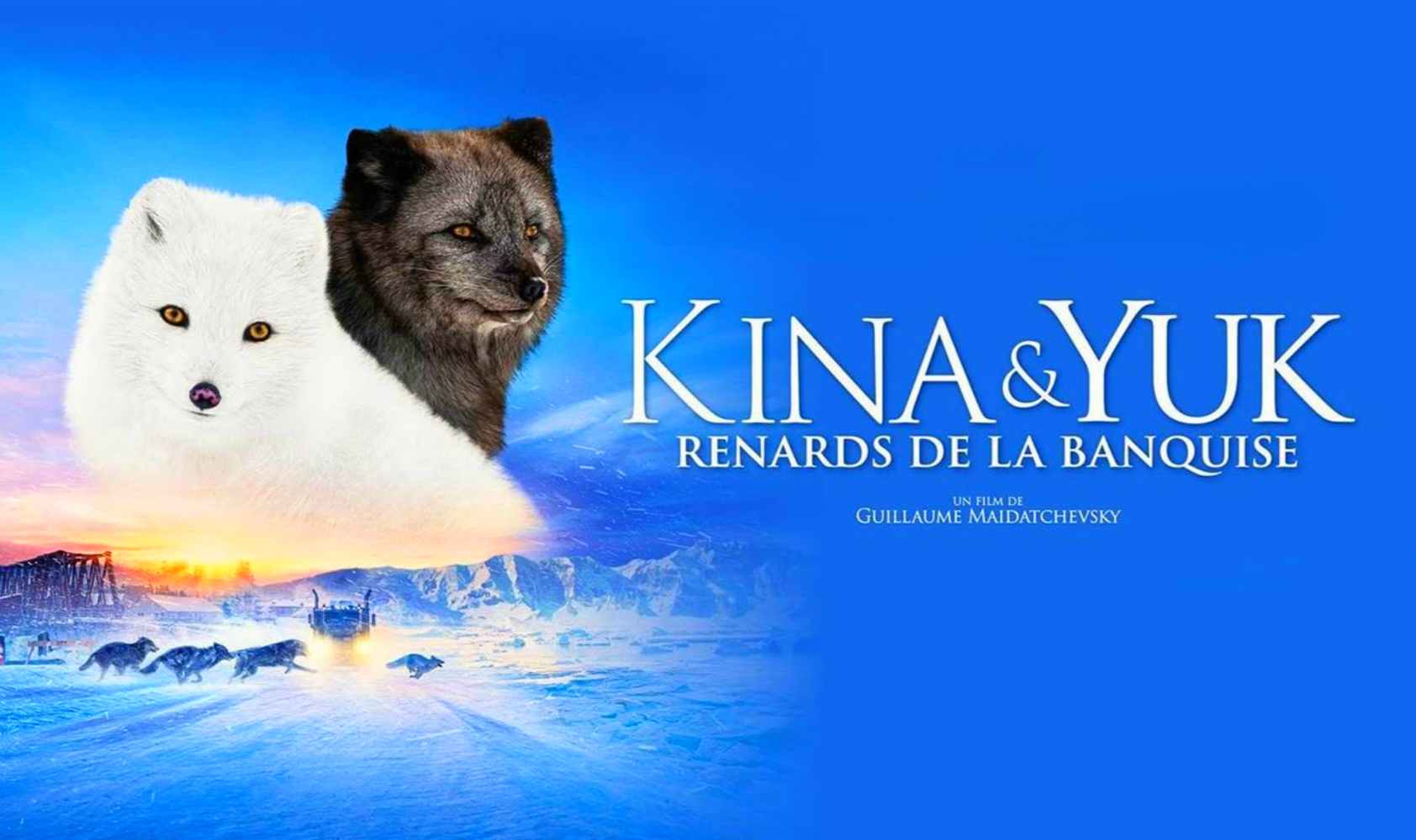 北极小迷狐：吉娜和尤克