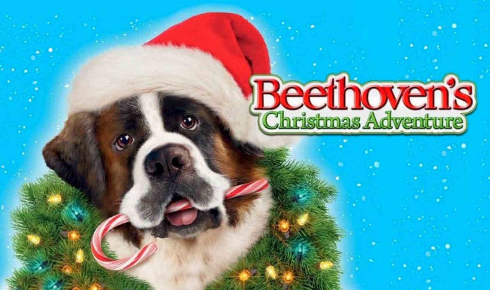 贝多芬圣诞大冒险
