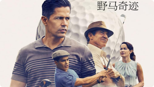 野马奇迹
