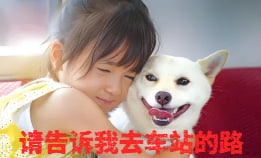 请告诉我去车站的路