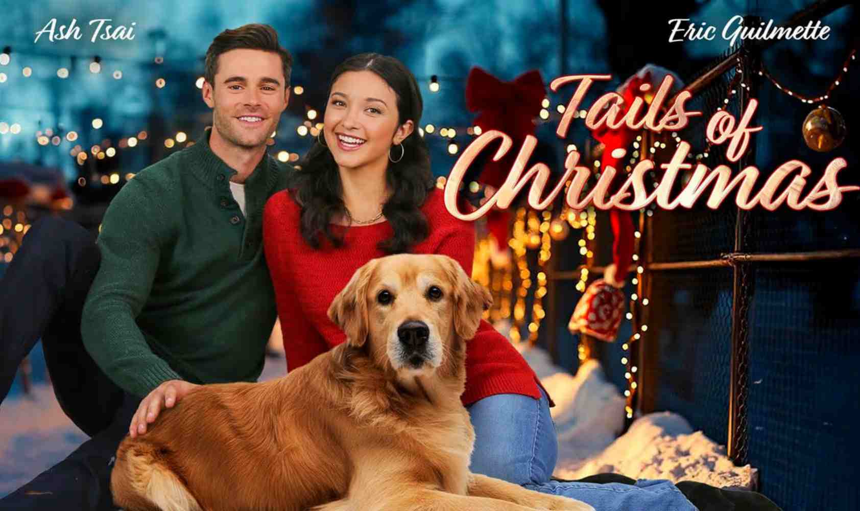 等待圣诞的毛绒尾巴们