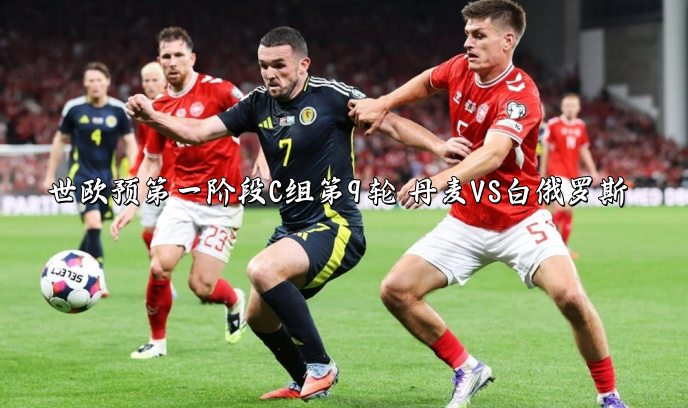 世欧预第一阶段C组第9轮 丹麦VS白俄罗斯