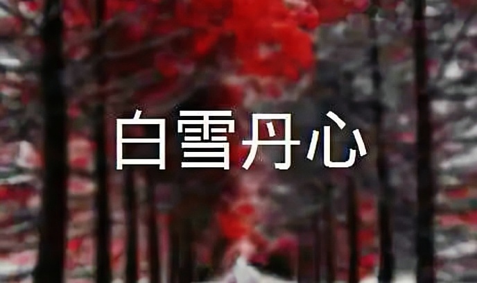 白雪丹心