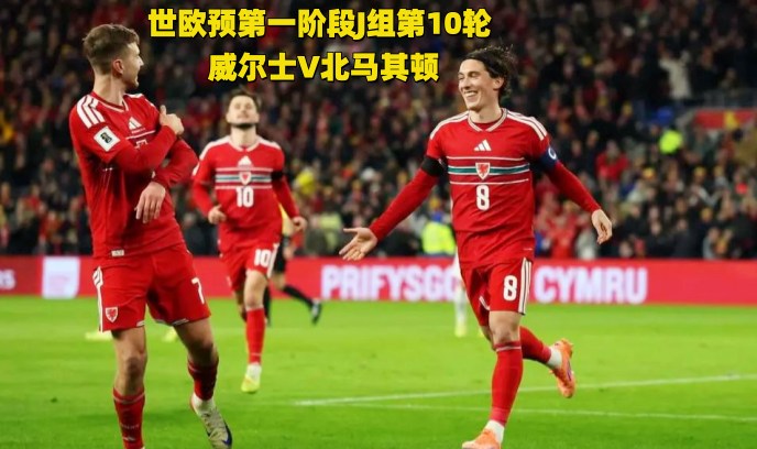 世欧预第一阶段J组第10轮 威尔士V北马其顿