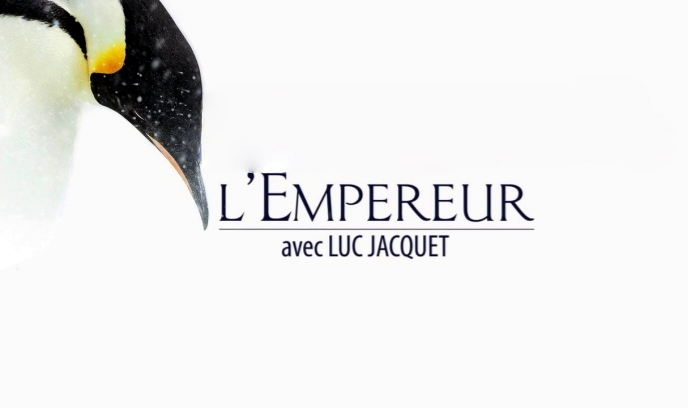 帝企鹅日记2：召唤