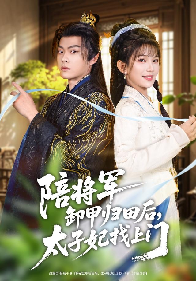 陪将军卸甲归田后，太子妃找上门