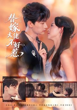 替嫁大佬不好惹