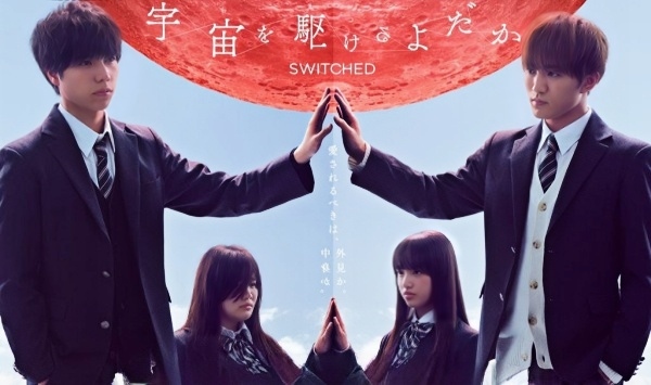 翱翔于天际的夜鹰