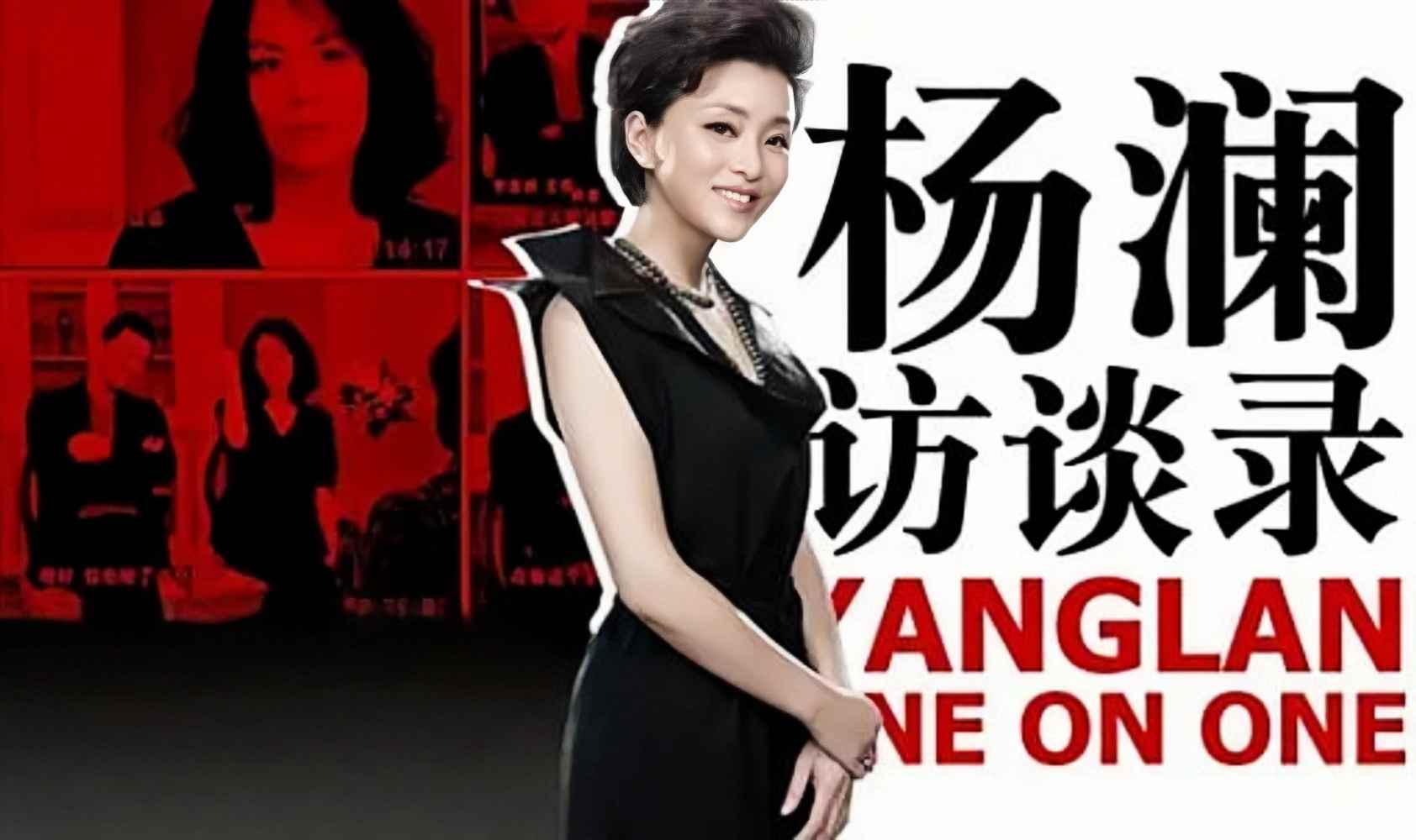 杨澜访谈录 2014