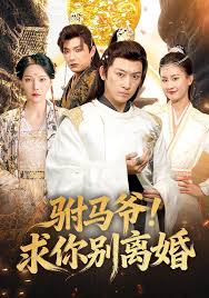 驸马爷！求你别离婚
