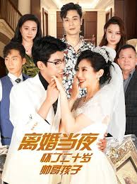 离婚当夜怀了二十岁帅哥孩子