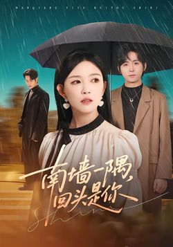 南墙一隅，回头是你