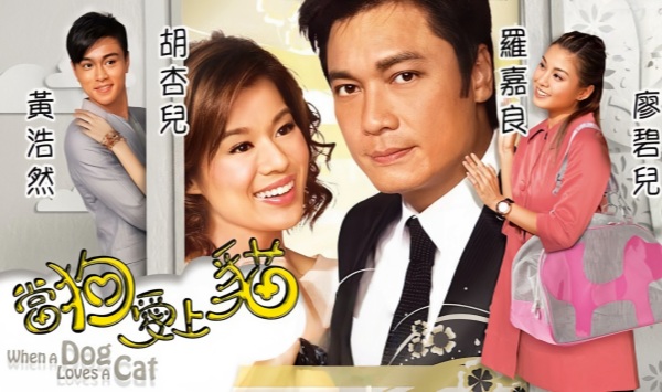 当狗爱上猫