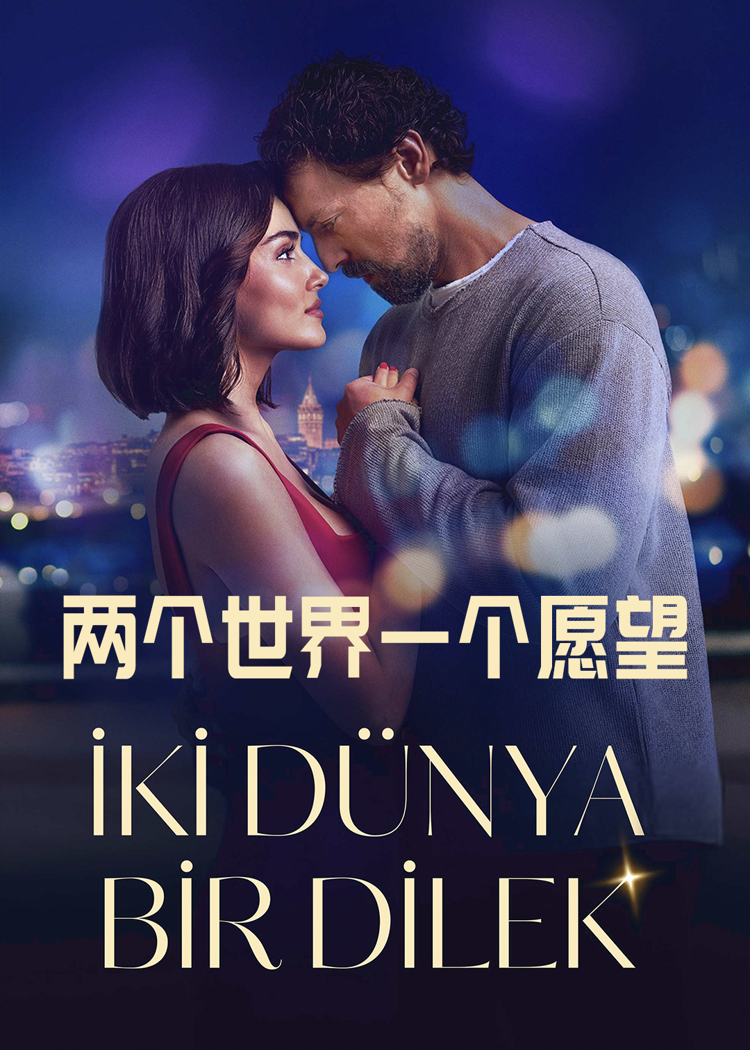 两个世界一个愿望