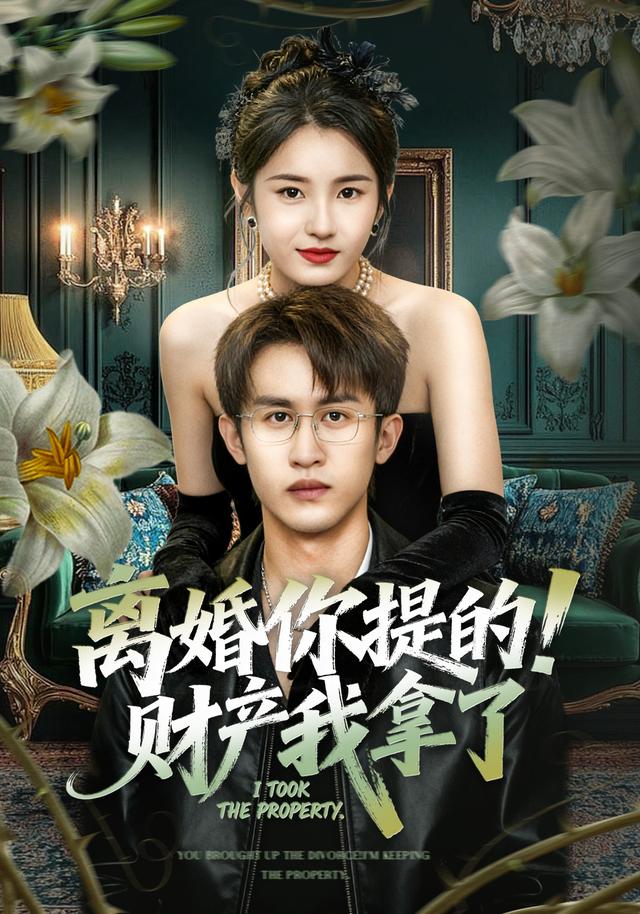 离婚你提的！财产我拿了