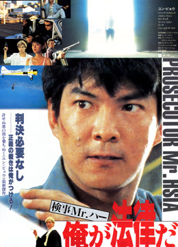 执法先锋粤语版