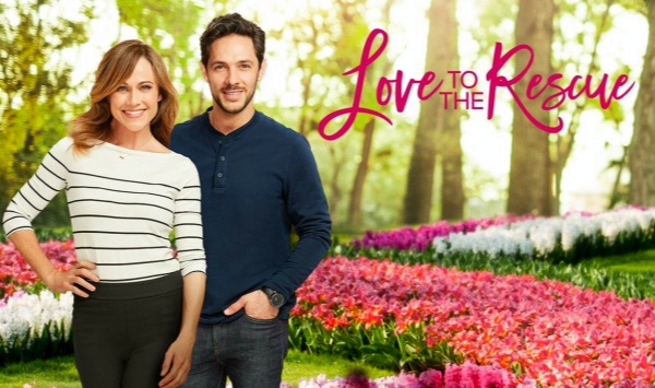 救助狗狗遇到爱