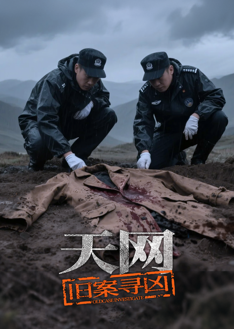 天网：旧案寻凶