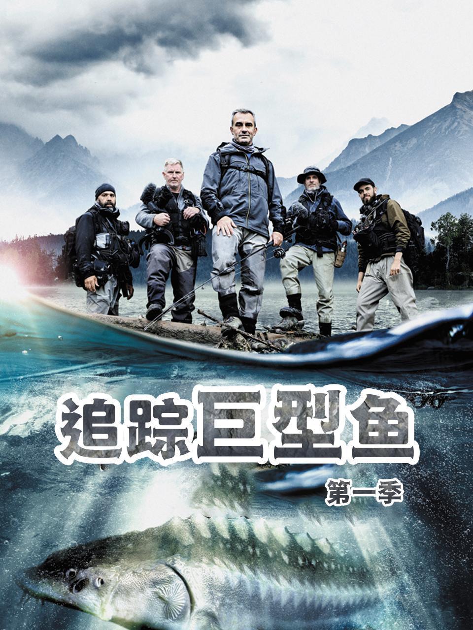 追踪巨型鱼第一季