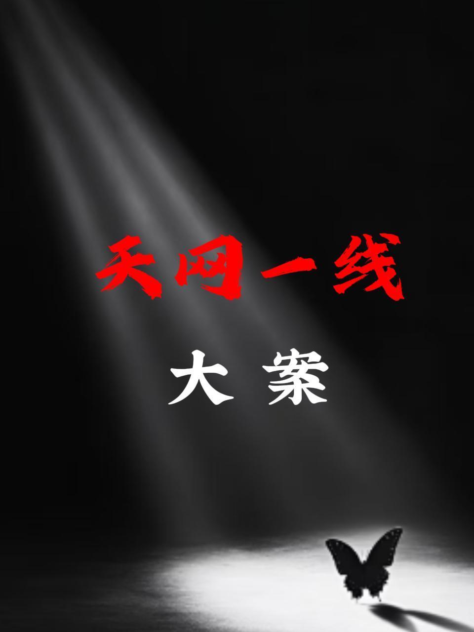 天网一线大案