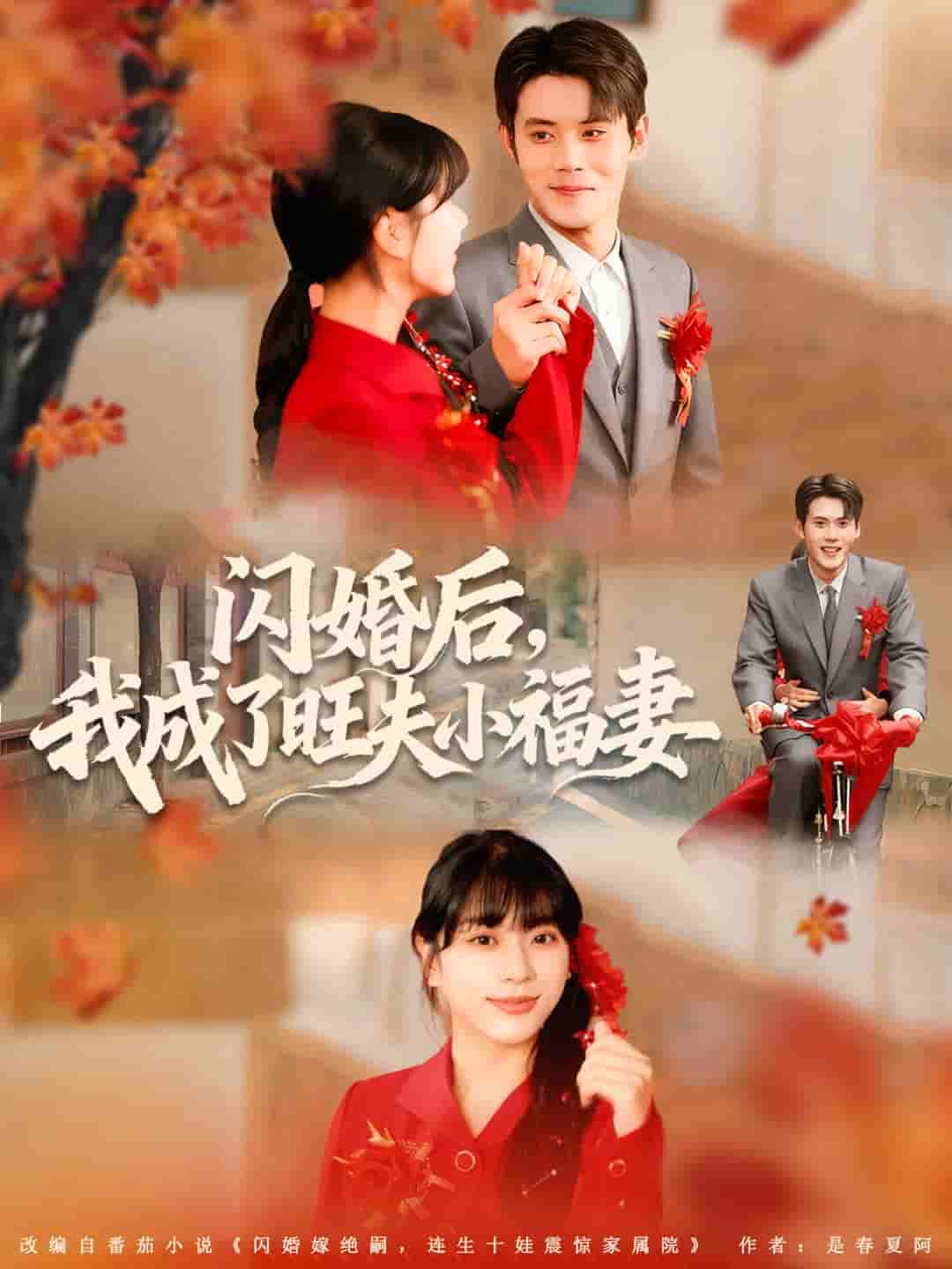 闪婚后我成了旺夫小福妻