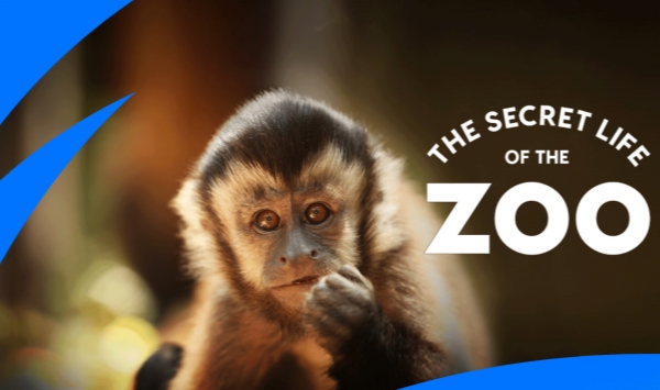 动物园的秘密生活 第一季