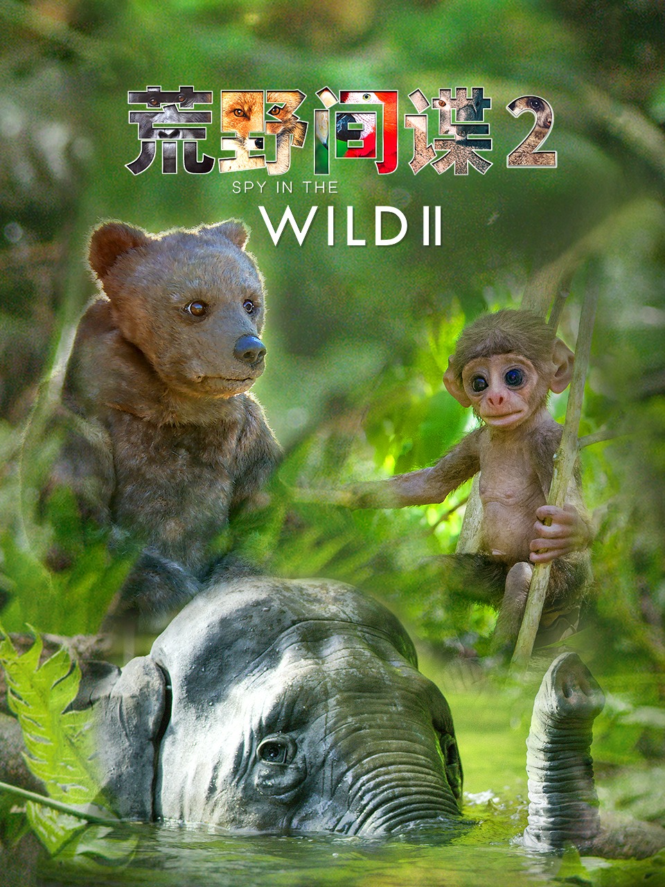 荒野间谍第二季