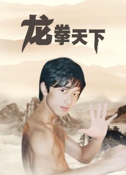龙拳天下