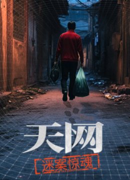 天网：迷案惊魂