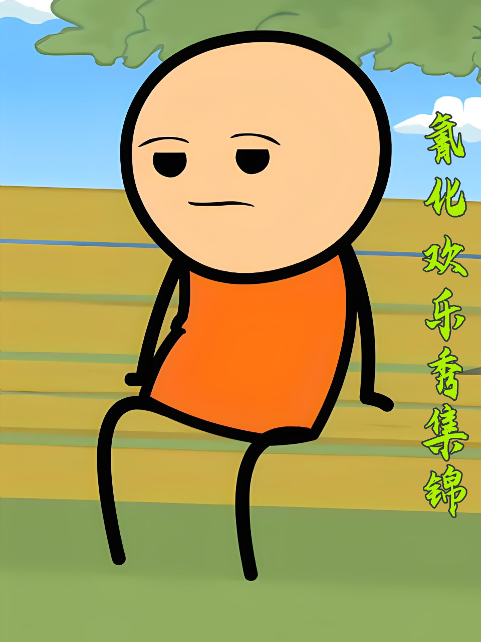 氰化欢乐秀集锦