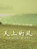 天上的风