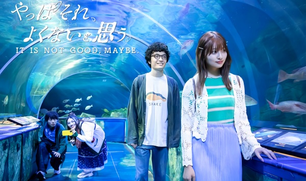 我还是觉得不妥