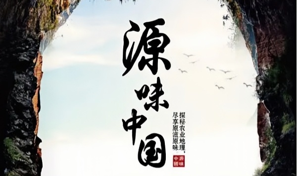 源味中国